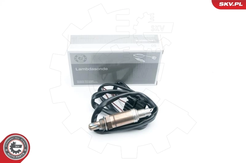 Oxygen Sensor